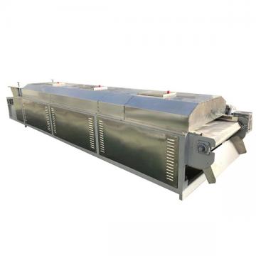 Continuous Mesh Belt Dryer for Vegetable &Fruits