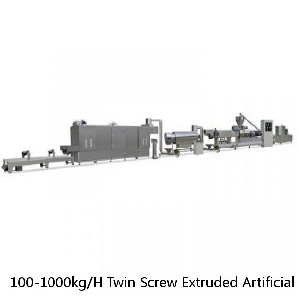 100-1000kg/H Twin Screw Extruded Artificial Rice Make Machinery/Fortified Synthetic Rice Production Equipment Price