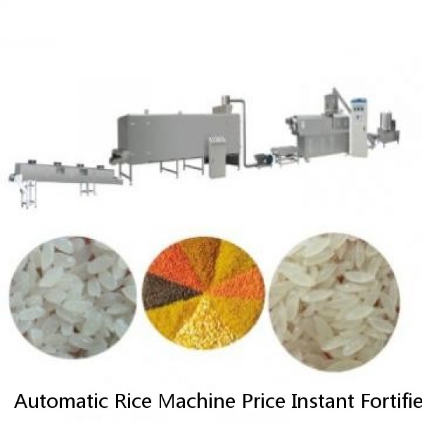 Automatic Rice Machine Price Instant Fortified Rice Kernel Making Machine