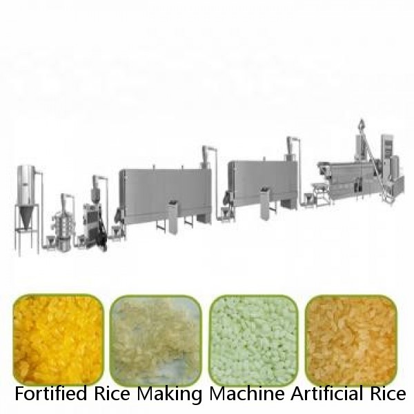 Fortified Rice Making Machine Artificial Rice Processing Line India Fortified Rice Manufacturing Machine