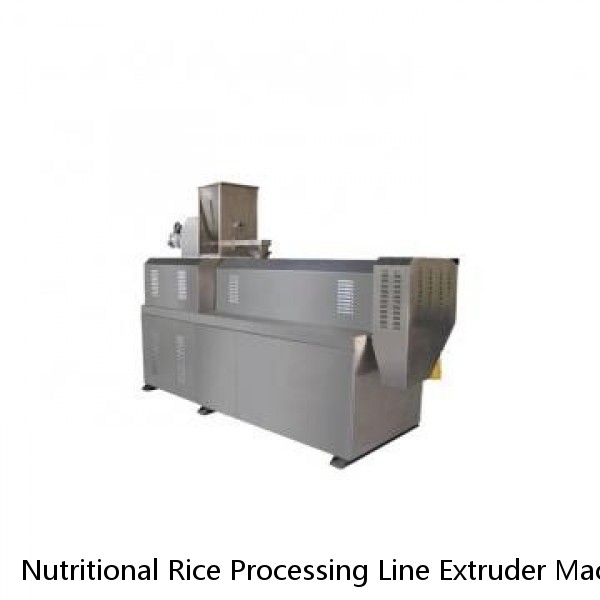 Nutritional Rice Processing Line Extruder Machine Plant Twin Screw Instant Artificial Fortified Rice Equipment Making Machine
